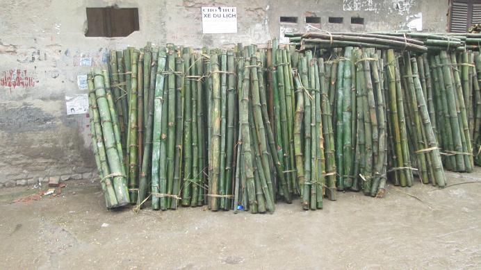 cọc tre giá rẻ Đà Nẵng